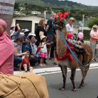 Hit refresh if image not shown