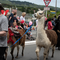 Hit refresh if image not shown