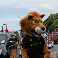 Hit refresh if image not shown