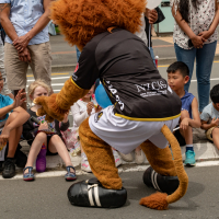 Hit refresh if image not shown