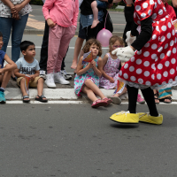 Hit refresh if image not shown