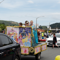 Hit refresh if image not shown