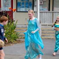 Hit refresh if image not shown