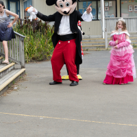 Hit refresh if image not shown