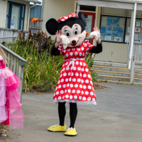 Hit refresh if image not shown