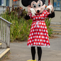 Hit refresh if image not shown