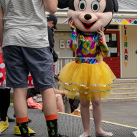 Hit refresh if image not shown