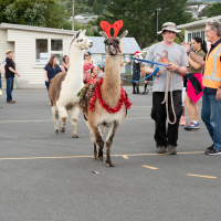 Hit refresh if image not shown