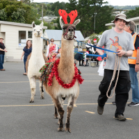 Hit refresh if image not shown