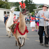 Hit refresh if image not shown