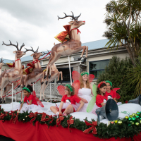 Hit refresh if image not shown