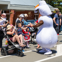 Hit refresh if image not shown