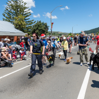 Hit refresh if image not shown