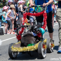 Hit refresh if image not shown