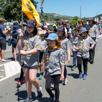 Hit refresh if image not shown