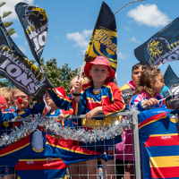 Hit refresh if image not shown