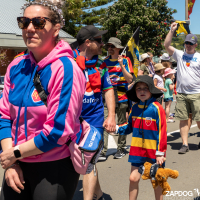 Hit refresh if image not shown