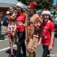 Hit refresh if image not shown