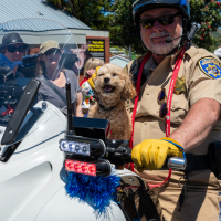 Hit refresh if image not shown