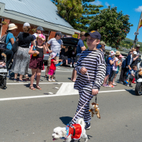 Hit refresh if image not shown