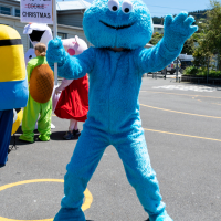 Hit refresh if image not shown